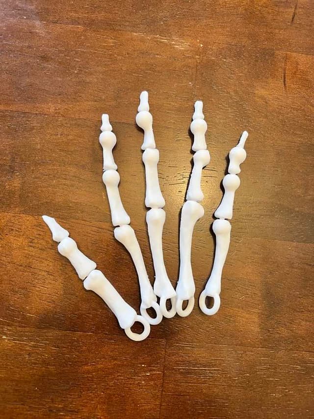 Finger Bones